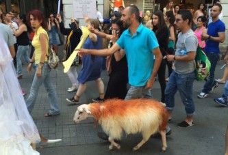 Hayvan severler yeni tasarıyı protesto etti