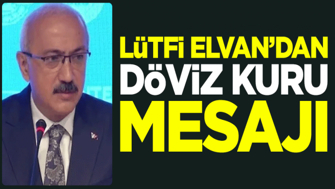 Hazine ve Maliye Bakanı Lütfi Elvandan döviz kuru mesajı