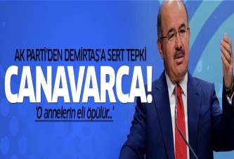 Hüseyin Çelik'ten Demirtaş'a tepki: Canavarca