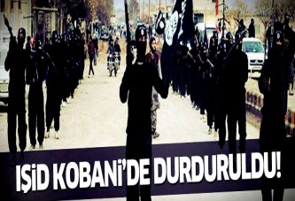 'IŞİD Kobani'de durduruldu'