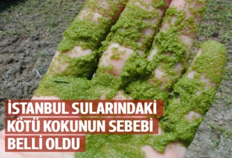 İSKİ, İstanbul sularındaki kokunun gizemini açıkladı