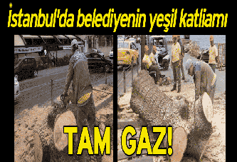 İstanbul’da belediyenin yeşil katliamı tam gaz sürüyor