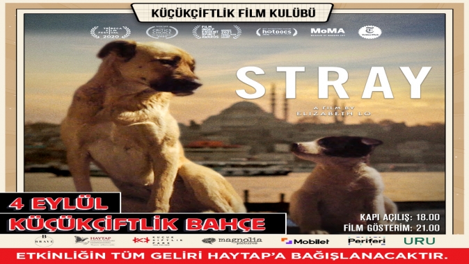 İSTANBUL’UN SOKAK KÖPEKLERİ BELGESELİ “STRAY” 4 EYLÜL’DE KÜÇÜKÇİFTLİK BAHÇE’DE!