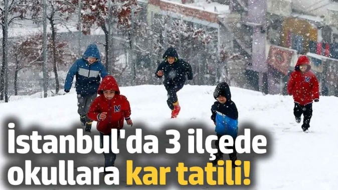 İstanbulda bazı ilçelerde okullar tatil edildi