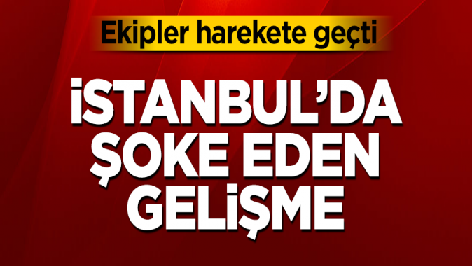 İstanbulda kafatası ve iskelet parçaları bulundu! Görenler dehşete düştü!