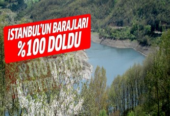 İstanbul'un 4 barajı yüzde 100 doldu