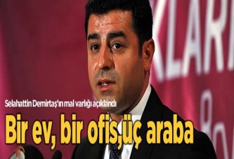 İşte Demirtaş'ın mal varlığı