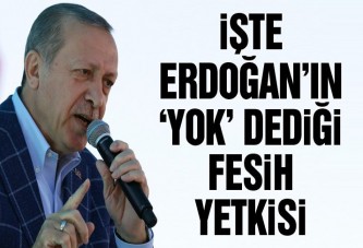 İşte Erdoğan’ın ‘yok’ dediği fesih yetkisi