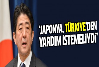 'Japonya, Türkiye'den yardım istemeliydi'