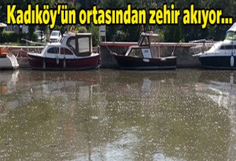 Kadıköy'ün ortasından zehir akıyor