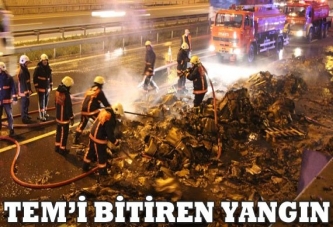 Kağıt dolu kamyon Tem'de yandı