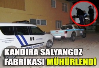 Kandıra Salyangoz Fabrikası Mühürlendi