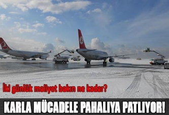 Karla mücadele pahalıya patlıyor!