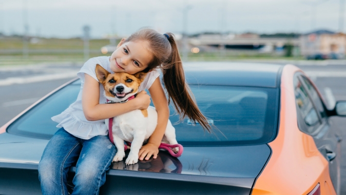 Kedi veya Köpeğiniz Antifriz Yediyse Ne Yapmalı?