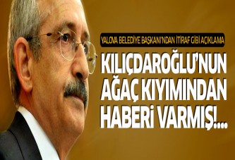 Kılıçdaroğlu'nun Yalova'daki ağaç kıyımından haberi varmış!