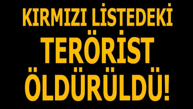 Kırmızı listedeki terörist İbrahim Çoban öldürüldü