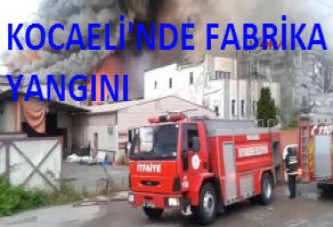 Kocaeli'nde fabrika yangını