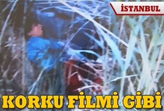 Korku filmi gibi