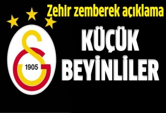 Küçük beyinliler