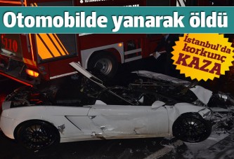 Lüks otomobil alev topuna döndü: 1 ölü, 1 yaralı