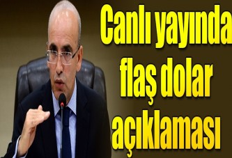 Mehmet Şimşek'ten dolar açıklaması