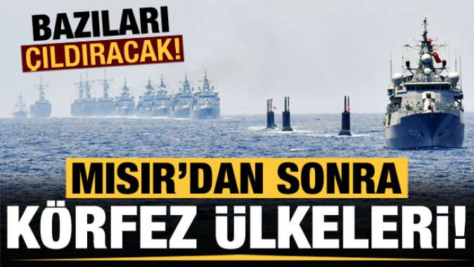 Mısır’dan sonra Körfez ülkeleri! Bazıları çıldıracak…