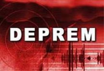 Muğla'da 4,2 şiddetinde deprem