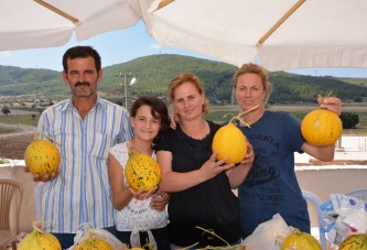 NOHUTALAN KAVUN FESTİVALİ BAŞLIYOR