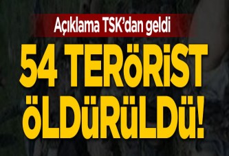 PKK'ya ağır darbe! 54 terörist öldürüldü