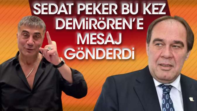 Sedat Peker bu kez Demirörene mesaj gönderdi