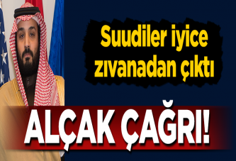 Suudilerden alçak çağrı! İyice zıvanadan çıktılar