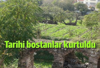 Tarihi Yedikule bostanları şimdilik kurtuldu