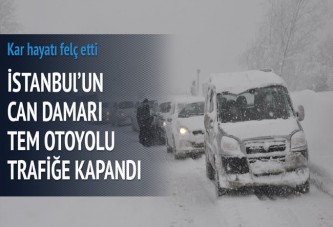 Tem otoyolu trafiğe kapandı