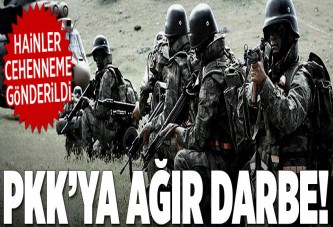 Terör örgütü PKK'ya ağır darbe.