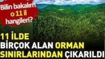 11 İlde birçok alan 'orman' sınırlarından çıkarıldı. Bilin bakalım o 11 il hangileri?