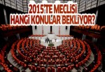 2015'te TBMM'de neler tartışılacak?