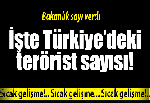 46 farklı kentin 706 yasadışı örgüt üyesi var