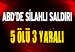 ABD’de silah sesleri!