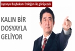 Abe'den işbirliği çağrısı