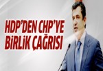 Adil Zozani'den CHP'ye birlik çağrısı