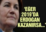 Akşener: “2019’da Erdoğan kazanırsa Türkiye parti devleti olur”