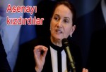 Akşener kükredi