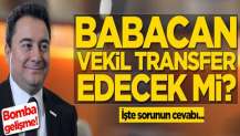 Ali Babacan vekil transfer edecek mi? İşte sorunun cevabı