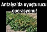 Antalya'daki Uyuşturucu Operasyonu