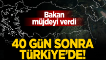 Bakan açıkladı: 'CoronaVac' aşısı 40 gün sonra Türkiye'de!