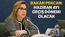 Bakan Pekcan: Haziran ayı geçiş dönemi olacak