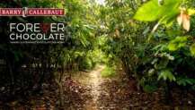 Barry Callebaut Sürdürülebilirlik Hedeflerinde Vites Yükseltti