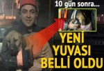 Beykoz'da kuyuya düşen yavru köpek 10 gün sonra kurtarıldı