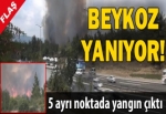 Beykoz'da Orman Yangını