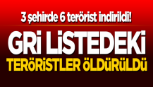 Bingöl, Ağrı ve Tunceli'de 6 terörist öldürüldü